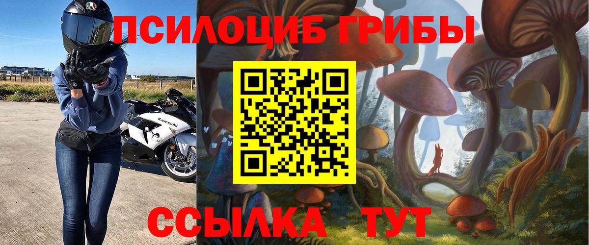 Псилоцибиновые грибы Cubensis  Галлюциногенные грибы ЛСД  Острогожск  Вход с VPN 